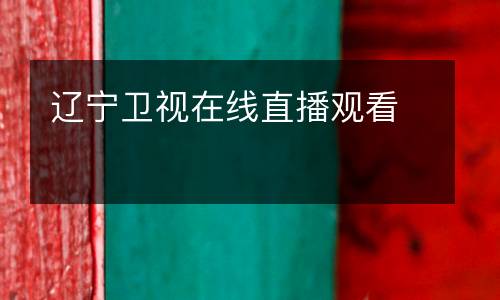 遼寧衛(wèi)視在線直播觀看