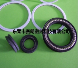 彈簧密封圈 彈簧密封圈